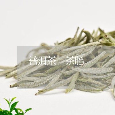 普洱茶 茶脂/2023042924669